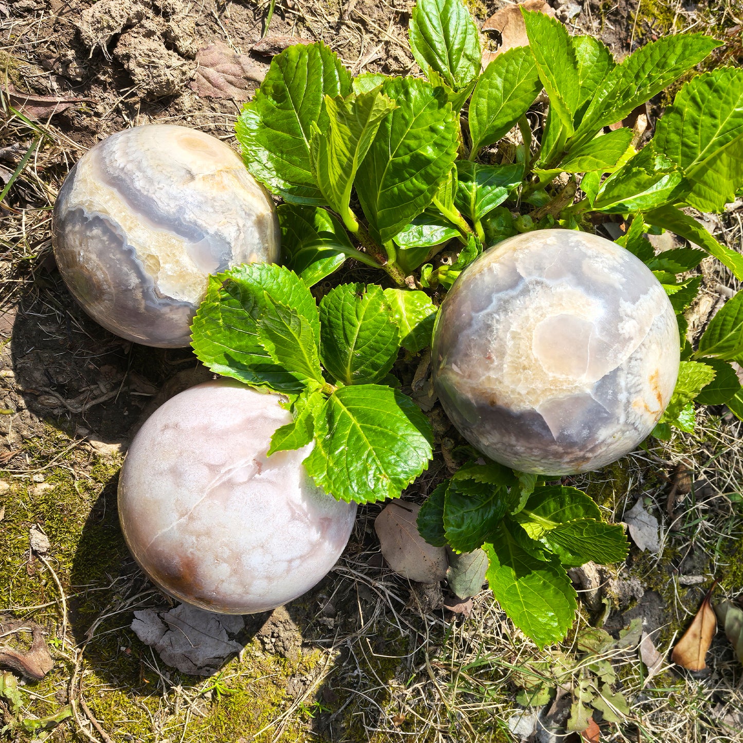3” Flower Agate Sphere – Polished Natural Crystal Ball for Inner Growth, Emotional Healing, Meditation & Feminine Energy Décor