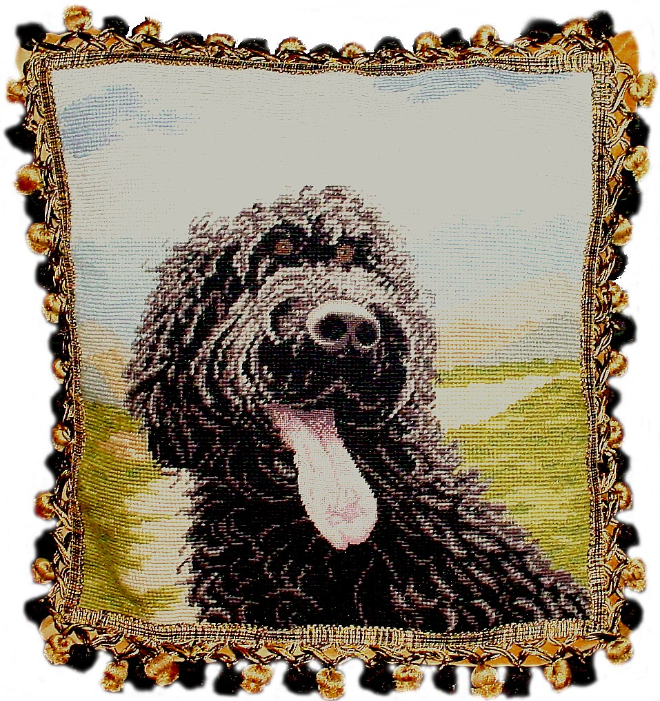 Needlepoint Hand-Embroidered Wool Throw Pillow Exquisite Home Designs on WaterSpaniels face and tong others with 2 color tassels