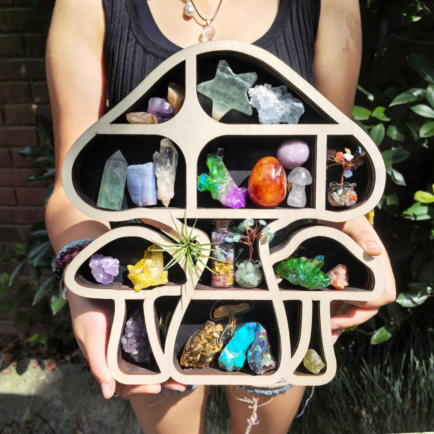 Shelf